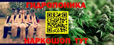 гашишное масло Берёзовский