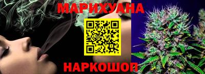 сатива Бийск