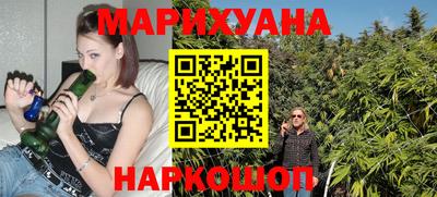 сатива Бийск