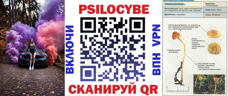 Псилоцибиновые грибы MAGIC MUSHROOMS магазин наркотиков Кировск