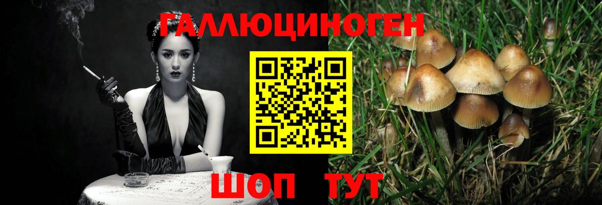 Галлюциногенные грибы прущие грибы  Кировск 